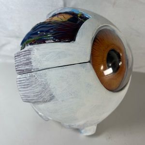 Creepy Eyeball Display Replica Model Opens For Inside View